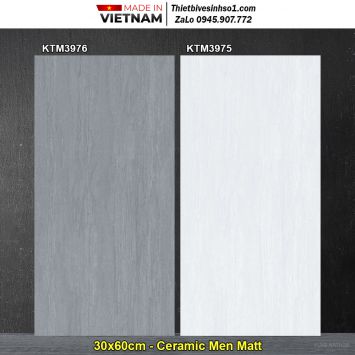 Gạch 30x60 Viglacera KTM3975-KTM3976