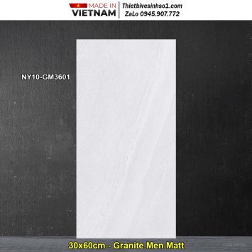 Gạch 30x60 Viglacera NY10-GM3601