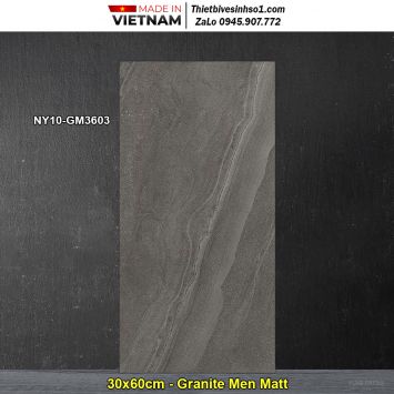 Gạch 30x60 Viglacera NY10-GM3603