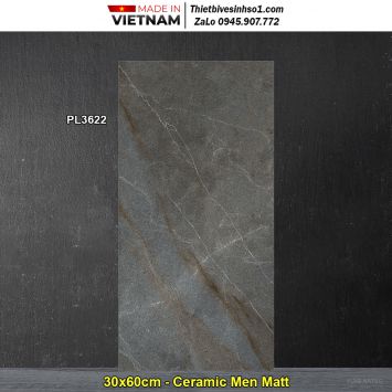 Gạch 30x60 Viglacera PL3622