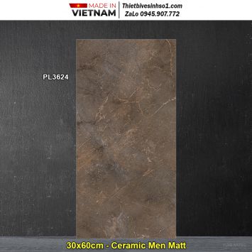 Gạch 30x60 Viglacera PL3624