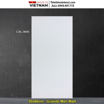 Gạch 30x60 Viglacera Platinum CBL3600