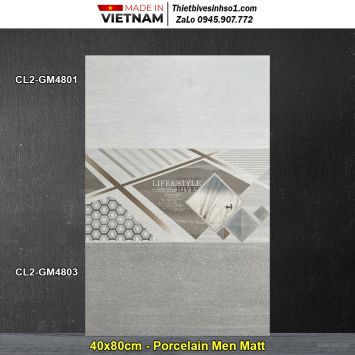 Gạch 40x80 Viglacera CL2-GM4801,CL2-GM4803