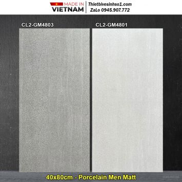 Gạch 40x80 Viglacera CL2-GM4801,CL2-GM4803