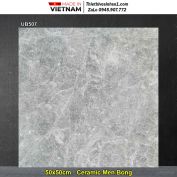 Gạch 50x50 Viglacera UB507