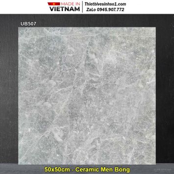 Gạch 50x50 Viglacera UB507