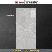 Gạch 60x120 Viglacera CLGP61209