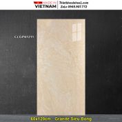 Gạch 60x120 Viglacera CLGP61211