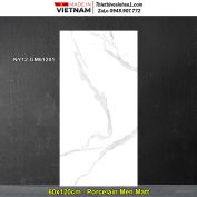 Gạch 60x120 Viglacera NY12-GM61201