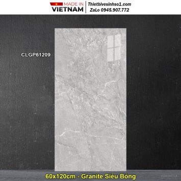 Gạch 60x120 Viglacera CLGP61209