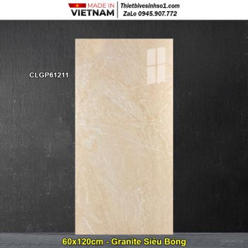 Gạch 60x120 Viglacera CLGP61211