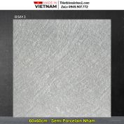 Gạch 60x60 Viglacera BS613