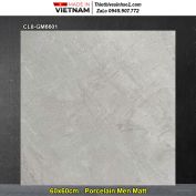 Gạch 60x60 Viglacera CL8-GM6601