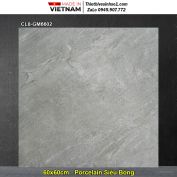 Gạch 60x60 Viglacera CL8-GM6602