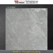 Gạch 60x60 Viglacera CL8-GP6602