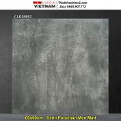 Gạch 60x60 Viglacera CLBS6603