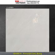 Gạch 60x60 Viglacera CLGP601