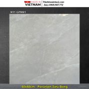 Gạch 60x60 Viglacera NY1-GP6601