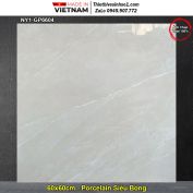 Gạch 60x60 Viglacera NY1-GP6604