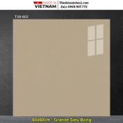 Gạch 60x60 Viglacera TS6-602