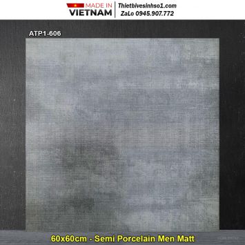 Gạch 60x60 Viglacera ATP1-606