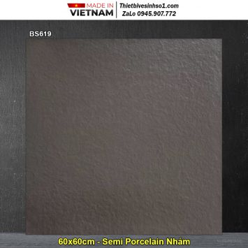 Gạch 60x60 Viglacera BS619