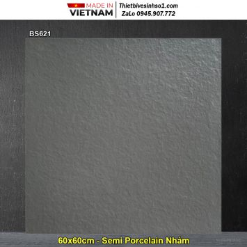 Gạch 60x60 Viglacera BS621