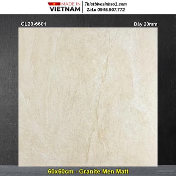 Gạch 60x60 Viglacera CL20-6601