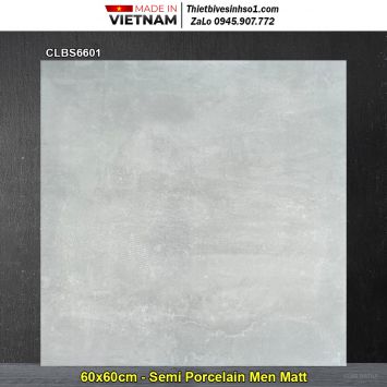 Gạch 60x60 Viglacera CLBS6601