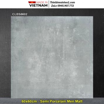 Gạch 60x60 Viglacera CLBS6602