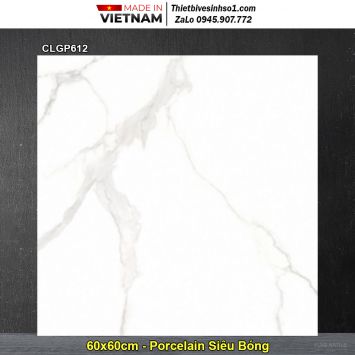 Gạch 60x60 Viglacera CLGP612