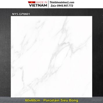 Gạch 60x60 Viglacera NY5-GP6601