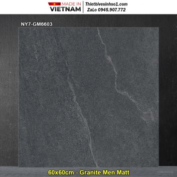 Gạch 60x60 Viglacera NY7-GM6603