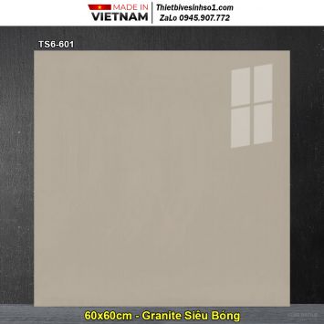 Gạch 60x60 Viglacera TS6-601