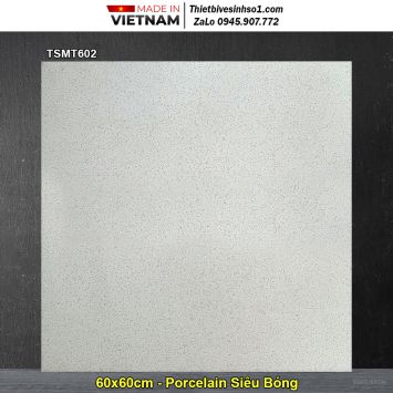 Gạch 60x60 Viglacera TSMT602