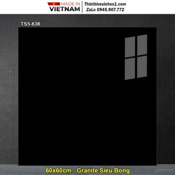 Gạch 60x60 Viglacera TS5-636 Đen Bóng