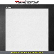 Gạch 60x60 Viglacera BS6605 Vân Xám Nhạt