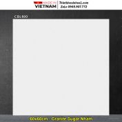 Gạch 60x60 Viglacera CBL600 Vân Xám Nhạt