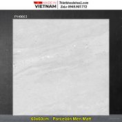 Gạch 60x60 Viglacera PH6603 Vân Xám