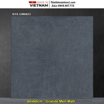 Gạch 60x60 Viglacera NY6-GM6603 Ghi Xanh