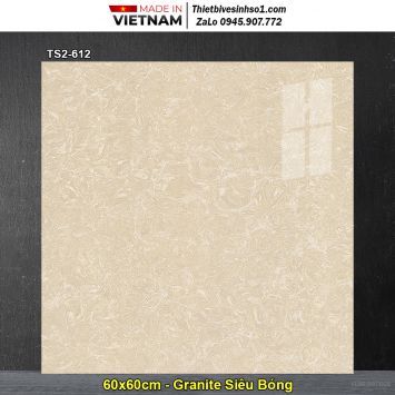 Gạch 60x60 Viglacera TS2-612 Vân Vàng