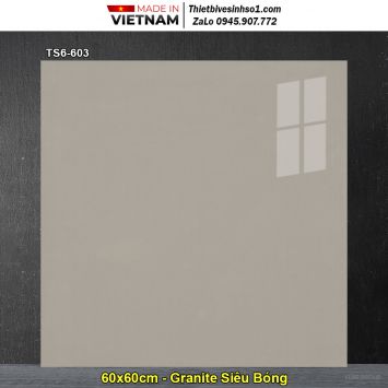 Gạch 60x60 Viglacera TS6-603 Ghi Nâu