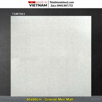 Gạch 60x60 Viglacera TSMT603 Chấm Xám