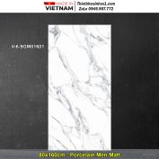 Gạch 80x160 Viglacera Vi6-9GM81601