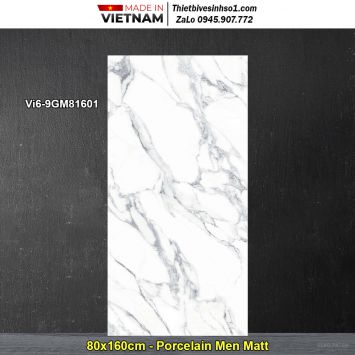 Gạch 80x160 Viglacera Vi6-9GM81601