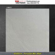 Gạch 80x80 Viglacera HM805