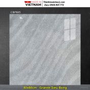 Gạch 80x80 Viglacera Platinum CBP805