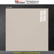 Gạch 80x80 Viglacera TS5-801