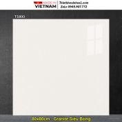 Gạch 80x80 Viglacera TS800