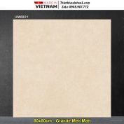 Gạch 80x80 Viglacera UM8801